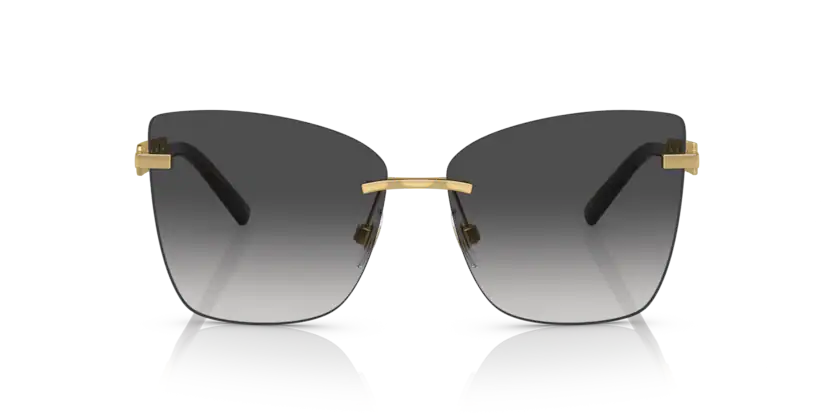DOLCE & GABBANA DG 2289 02/8G thumbnail