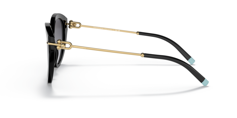 Tiffany & Co TF 4187 80013C - Black thumbnail