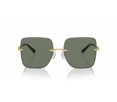 Michael Kors MK 1150 18963H Gold green