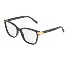 Dolce & Gabbana DG 5036 501 Black