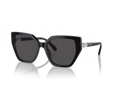SWAROVSKI SK 6016 100187 BLACK