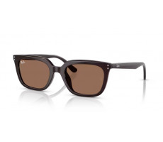 RAY BAN RB 4439 D Opal brown
