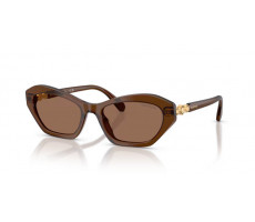 SWAROVSKI SK 6048 108473 brown