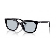 RAY BAN RB 4439 D Black