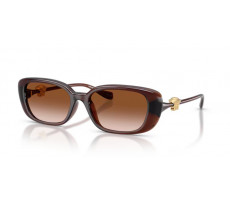 VERSACE VE 4504D 533213 Transparent brown