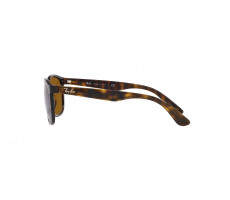 Ray-Ban RB 4374 710/33 HAVANA