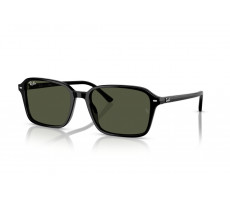 Ray-Ban RB 2231 90131 Black