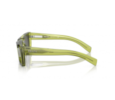 Prada PR 24Y 19B5S0 - Crystal fern