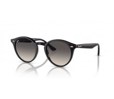 RAY BAN RB 2180 Black