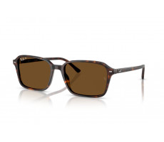 Ray-Ban RB 2231 90257 Havana