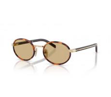 PRADA PR B56 21E10R Root tortoise