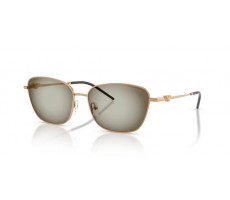 Emporio Armani EA 2170 342713 Metal brown