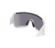 CARRERA FLAGLAB 15 VK6/T4 White/Silver