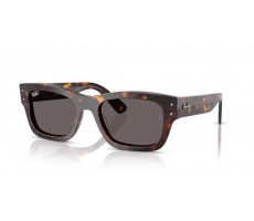RAY BAN RB 7683 902/B1 - Havana