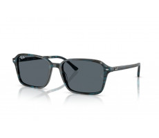 RAY-BAN RB 2231 1417R5 BLUE